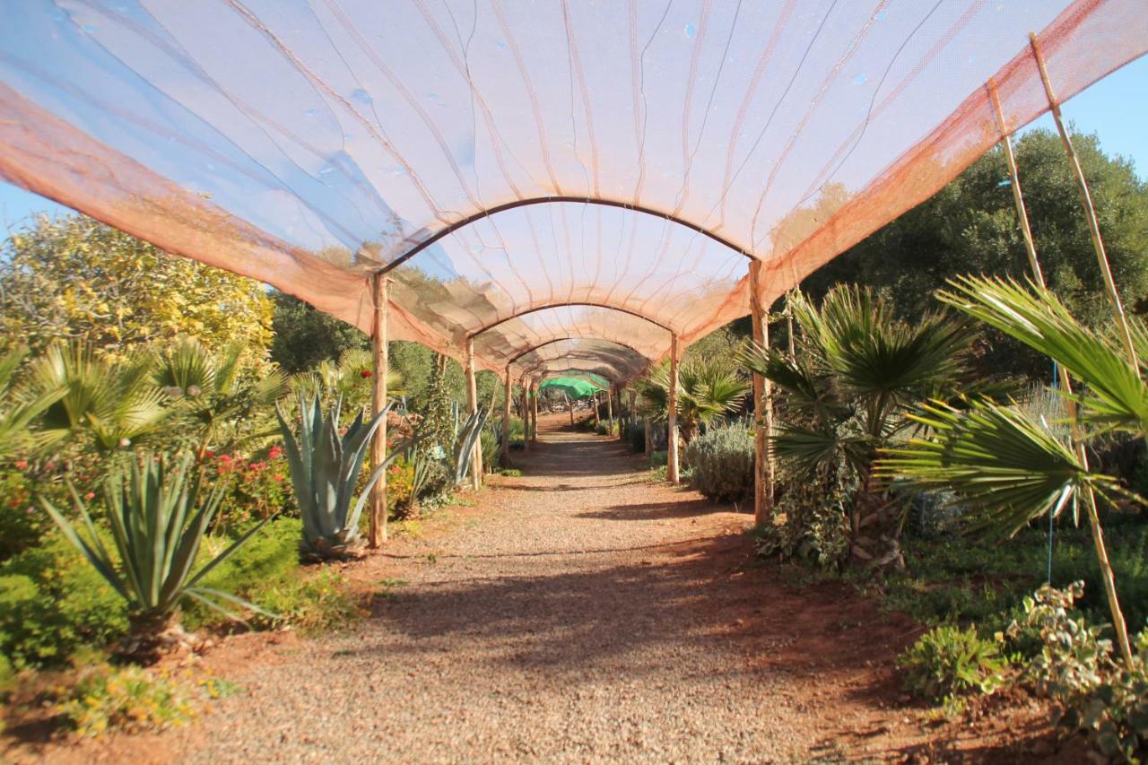 Ecolodge Espace Tamount ドゥムナット エクステリア 写真